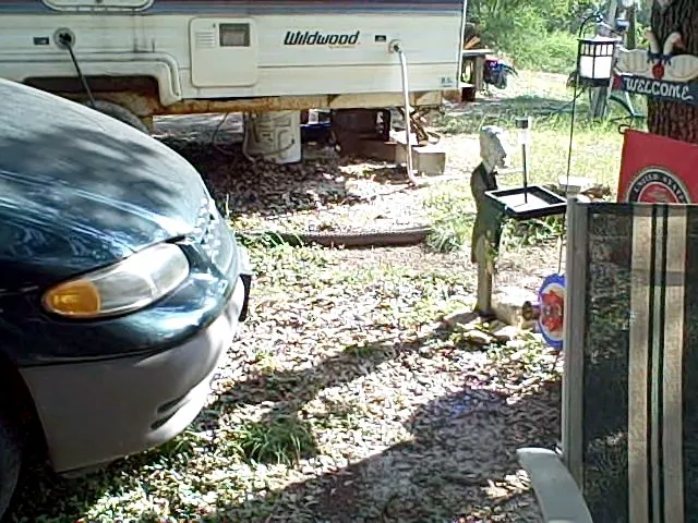 Canyon Lake Rv Park Picture 8