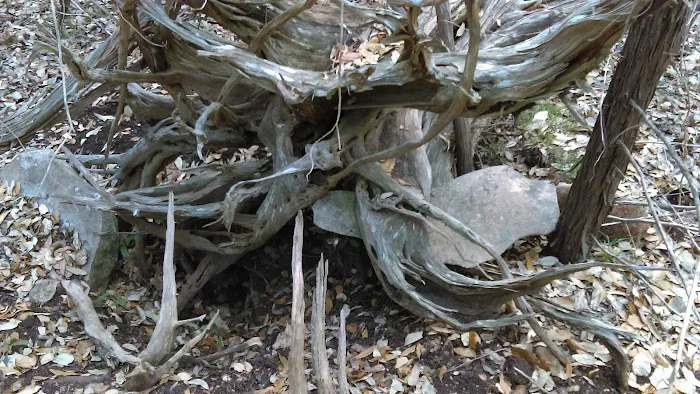 Canyon Lake Rv Park Picture 9