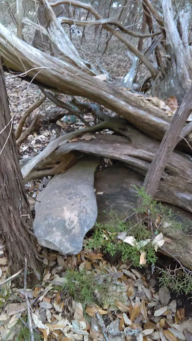 Canyon Lake Rv Park Picture 4