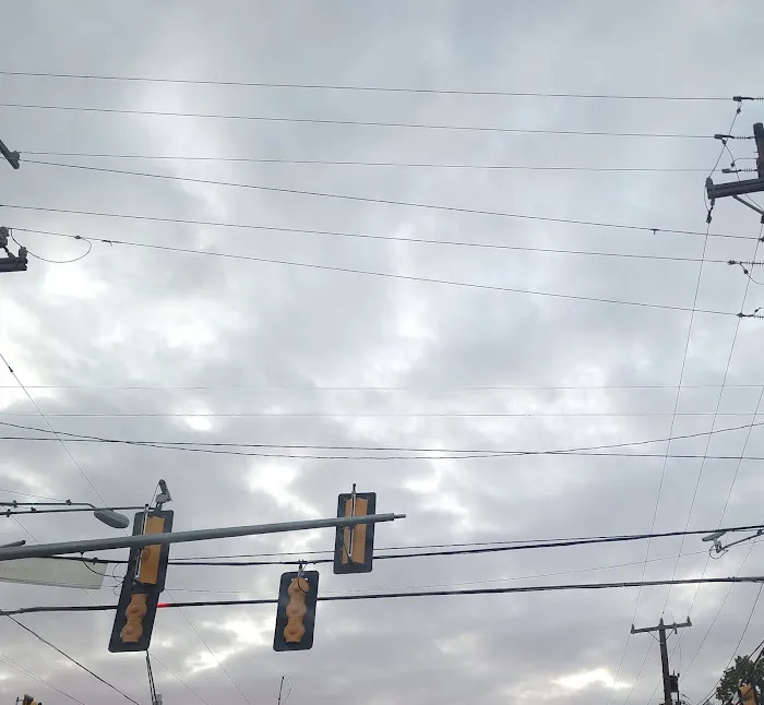 Zarzamora MHP Picture 3