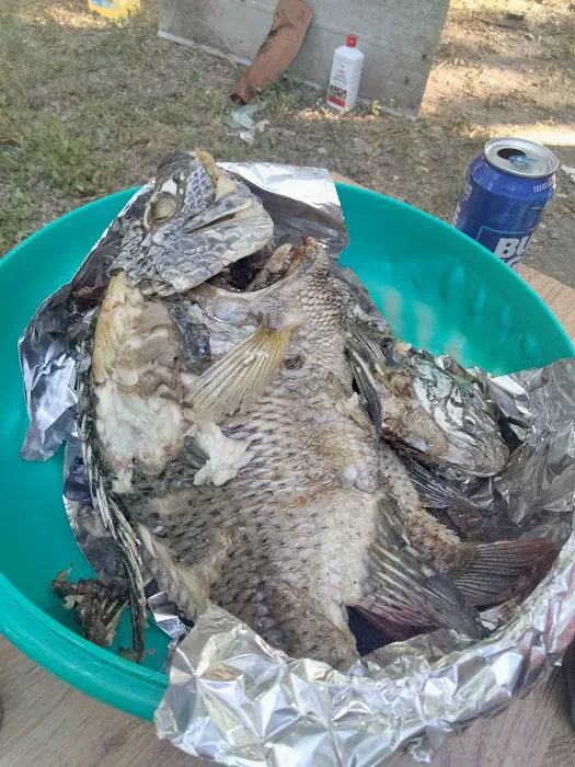 McMullen Mobile Home Park Picture 2