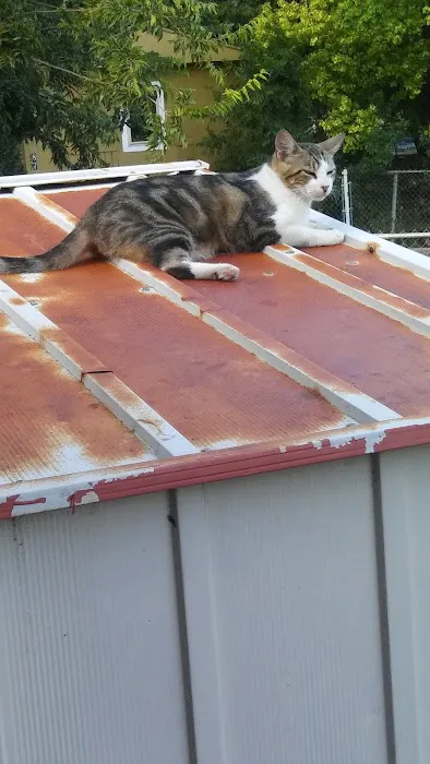 McMullen Mobile Home Park Picture 5