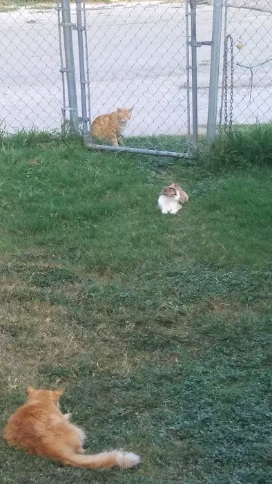 McMullen Mobile Home Park Picture 9