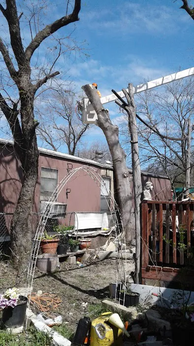 McMullen Mobile Home Park Picture 8