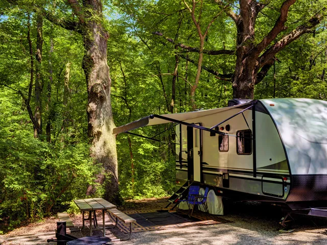 Alamo River RV Park & Campground Picture 4