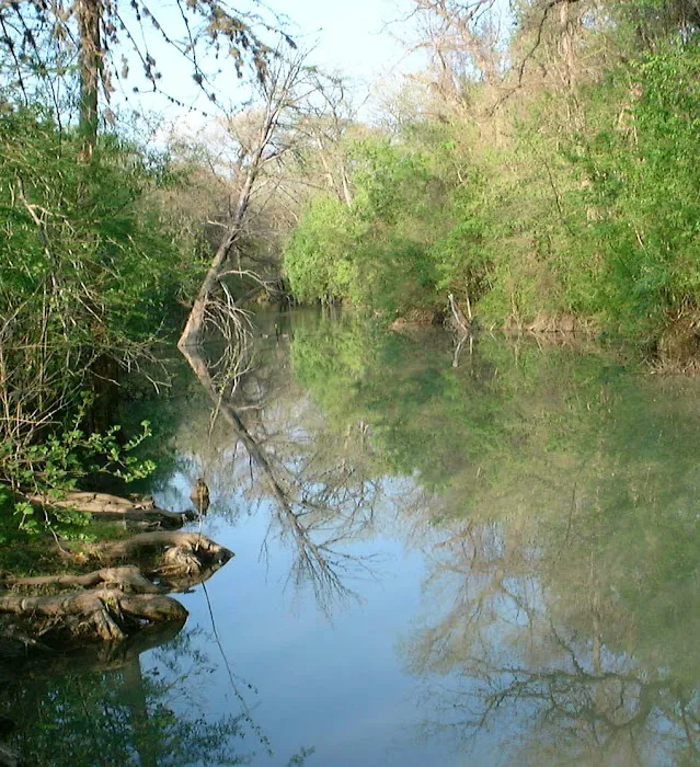 Alamo River RV Park & Campground Picture 6