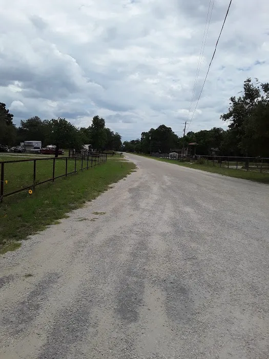 Chillie Willie's RV Park Picture 9