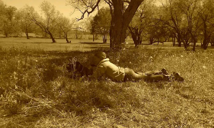 A Country Breeze RV Park Picture 6