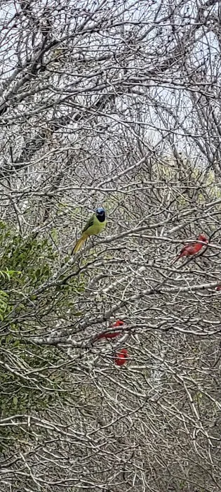 S&S Travel RV Park Picture 4