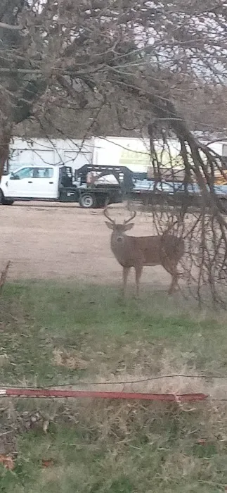 Holliday Outt RV Park 55 Plus Picture 7