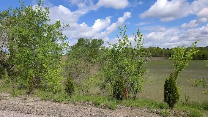 Seminole Music Park Picture 8
