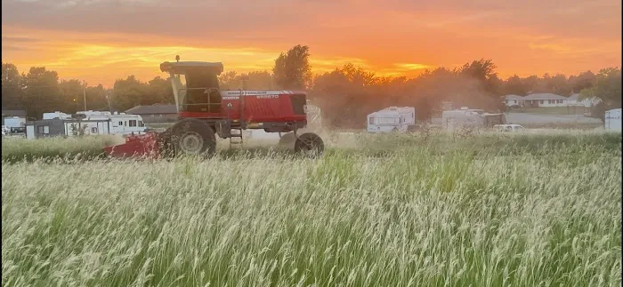 Big Red's RV Park Picture 5