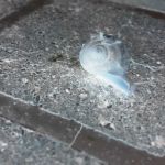 Neumayer MHP Yukon, LLC