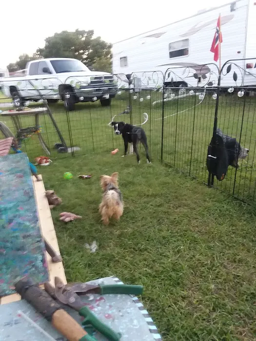 Slick Hills RV Park Picture 2