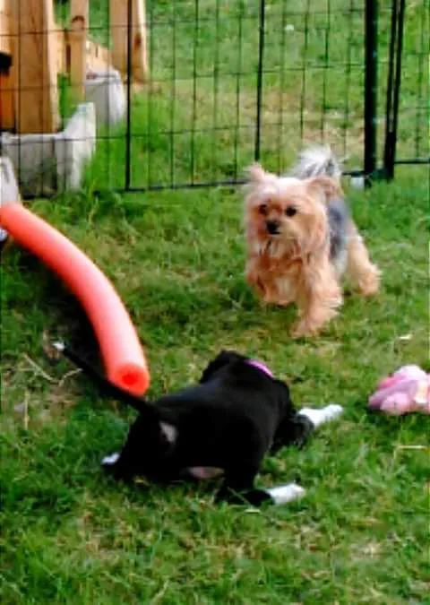 Slick Hills RV Park Picture 7