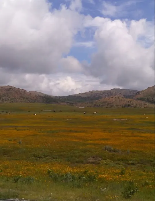 Slick Hills RV Park Picture 8