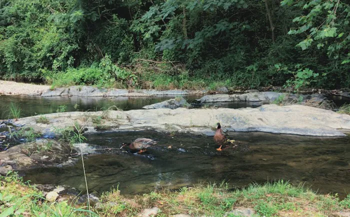 J & J RV Park & Storage Picture 6