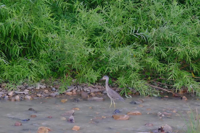 J & J RV Park & Storage Picture 10