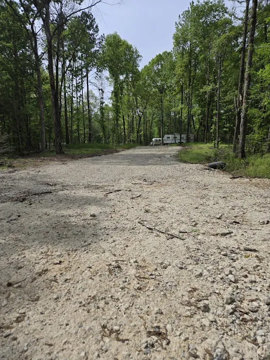 Smith Loop RV Park Picture 6