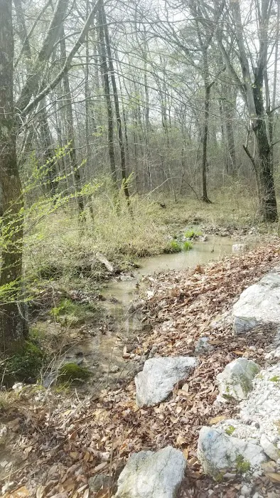 Pinewood Properties & Rv Park Picture 8