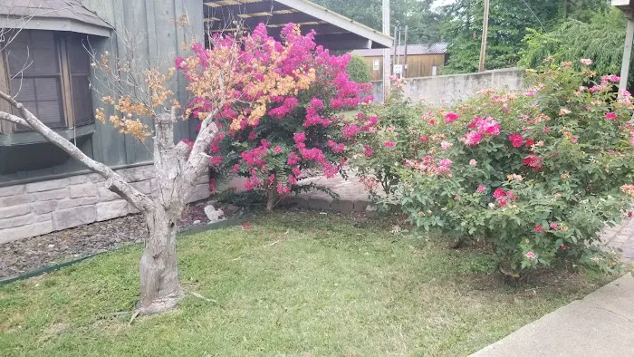 Pinewood Properties & Rv Park Picture 10