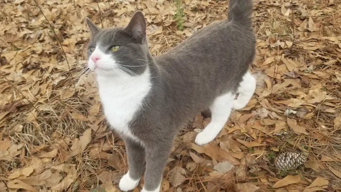 Pinewood Properties & Rv Park Picture 9