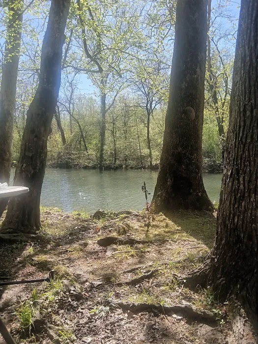 Pearsons Landing RV Park Picture 3