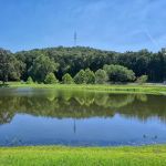 Flat Rock Village Retirement