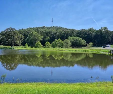 Flat Rock Village Retirement