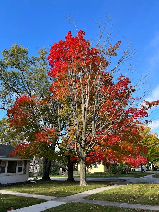 Eagle Crest RV Park Picture 2