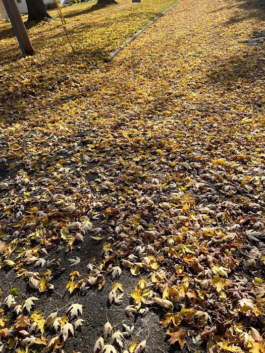 Eagle Crest RV Park Picture 5