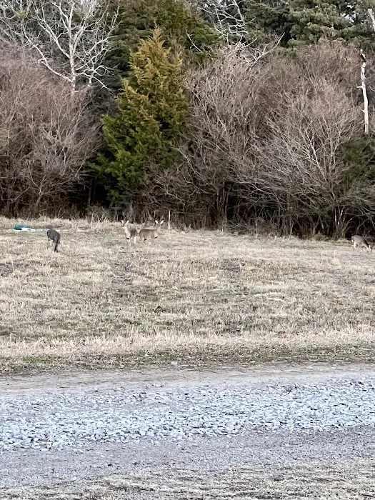 Eagle Crest RV Park Picture 4