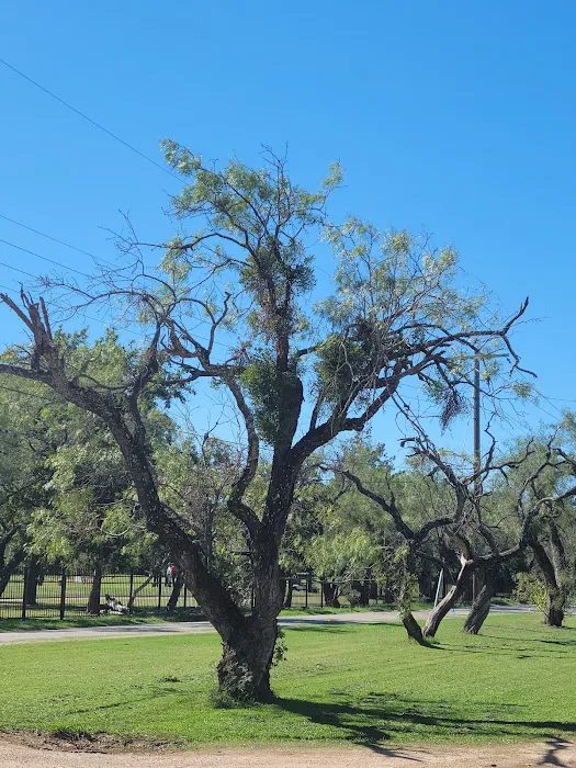 Woods Village RV and Mobile Home Park Picture 4