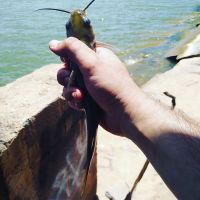 Abilene Lakeview Rv Park ico