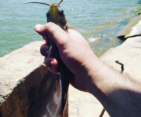 Abilene Lakeview Rv Park