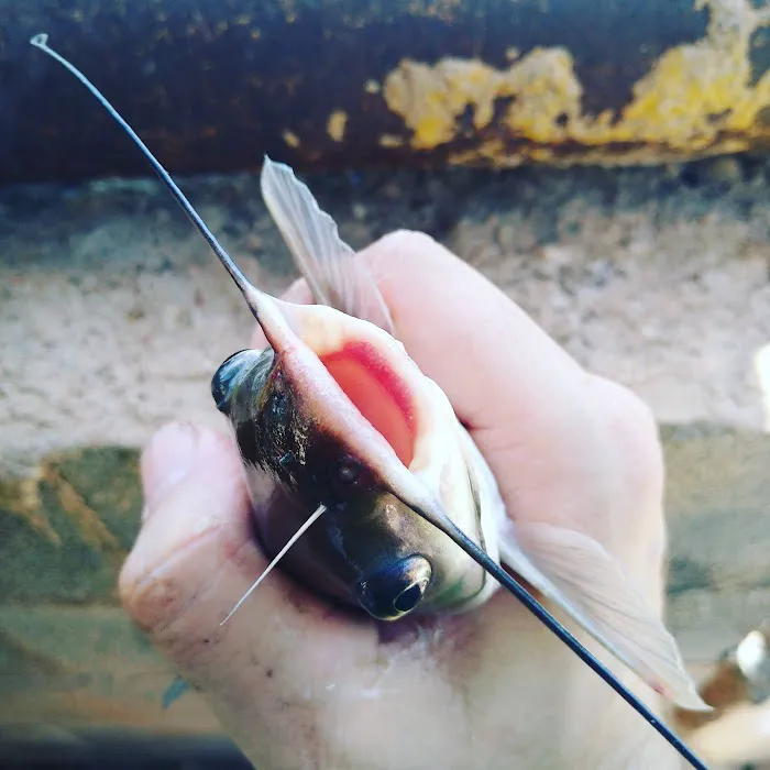 Abilene Lakeview Rv Park Picture 10