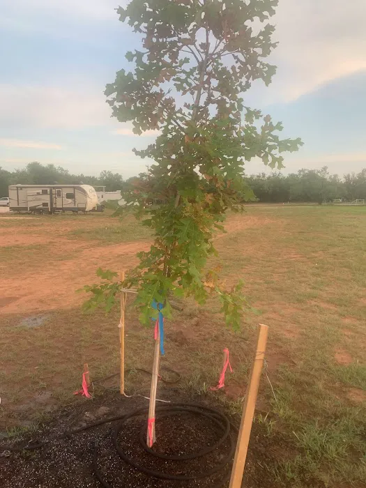 Buffalo Gap RV Park Picture 8