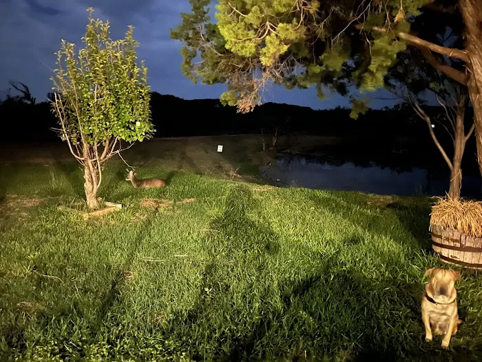 Buffalo Gap RV Park Picture 9