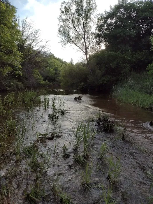 A&A covered RV park Picture 6