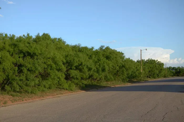 4B Ranch RV Park Picture 5