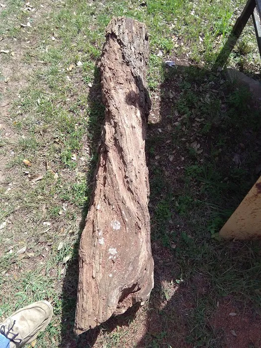 Oaks Mobile Home Park Picture 5