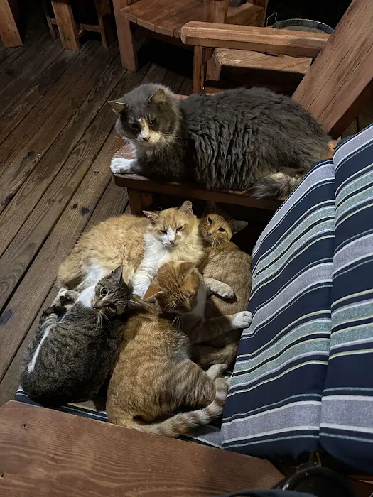 Hill Top Mobile Home Park Picture 8