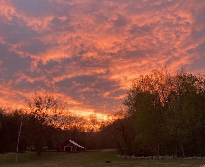 Denton Ferry RV Park & Cabin Rental Picture 4