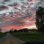 Tall Oaks Mobile Home Park