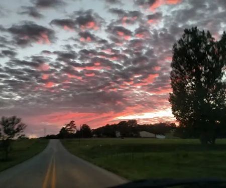 Tall Oaks Mobile Home Park