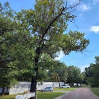 Cedar Hills Mobile Home Park ico