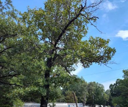 Cedar Hills Mobile Home Park