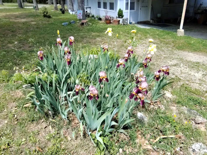 Cedar Hills Mobile Home Park Picture 3