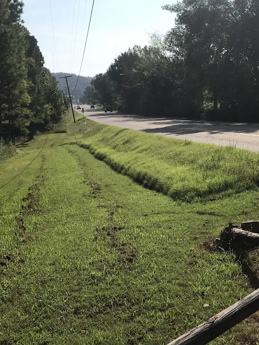 Golden Mobile Senior Park Picture 5