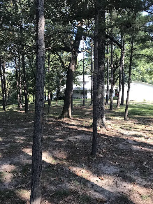 Golden Mobile Senior Park Picture 4